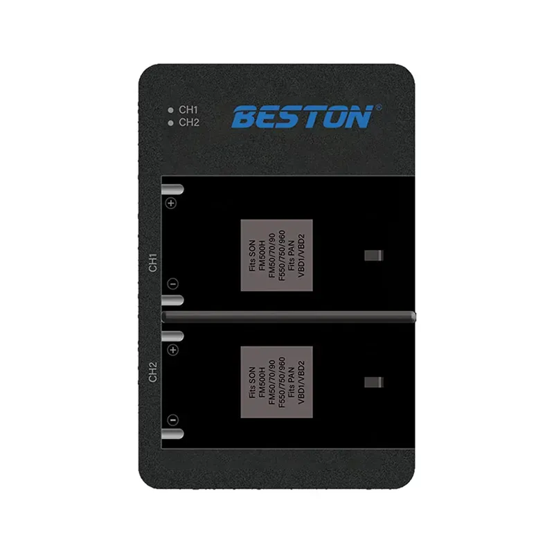 BESTON CD-SD004 Dual Battery Charger for Sony Camera Batteries, Micro USB