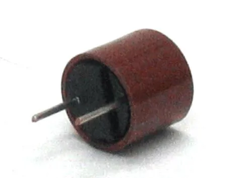 Replacement Fluke Meter Fuse 50mA 250V Fast-Blow