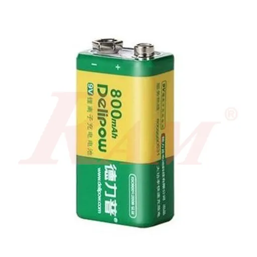 Delipow 9V 800mAh Lithium-Ion Rechargeable Battery