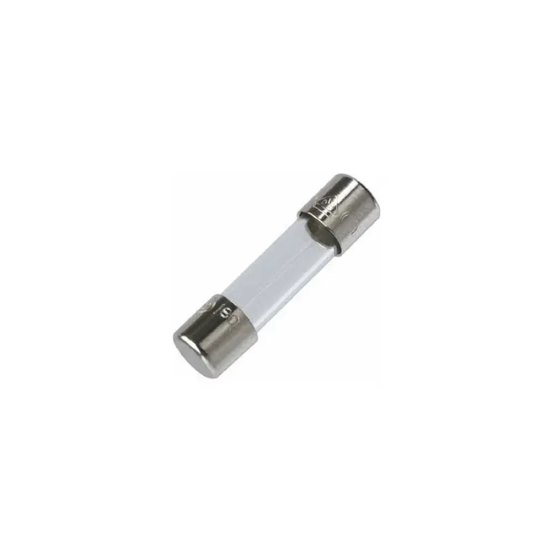 Glass Tube Fuse 2A 250V Time-Delay T5x20mm