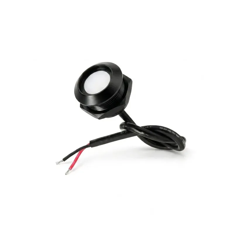 TM1990A iButton Master Access Control Key, 1-Wire 64-bit ID