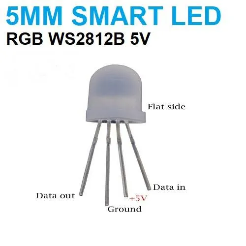 F5 5mm WS2812B RGB Smart LED 5V 5050 4-Pin