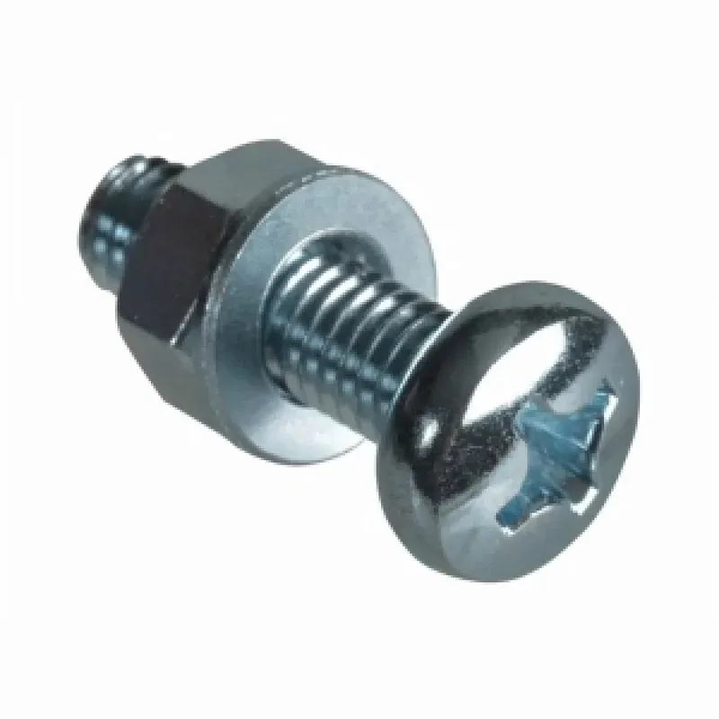 مسمار M3x10mm برأس فيليبس + (فولاذ سبائكي أسود)