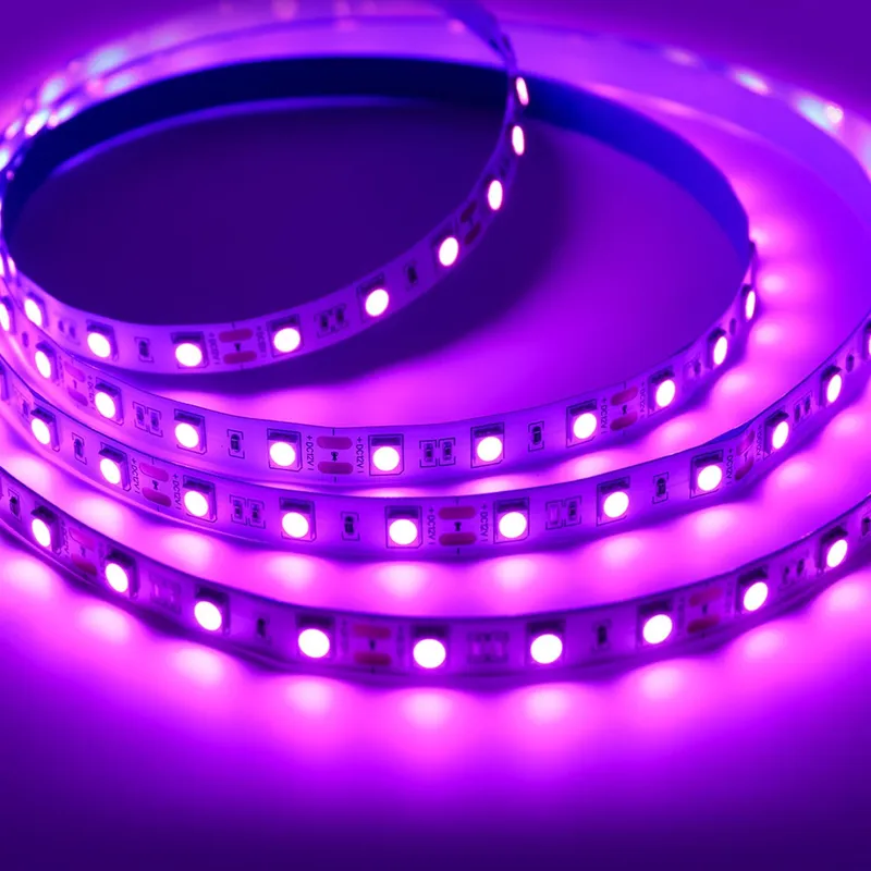 2835 LED Strip Light 240 LEDs 12V 5m Non-Waterproof Purple