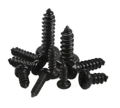 M2 x 4 mm Phillips Pan Head Self-Tapping Screw