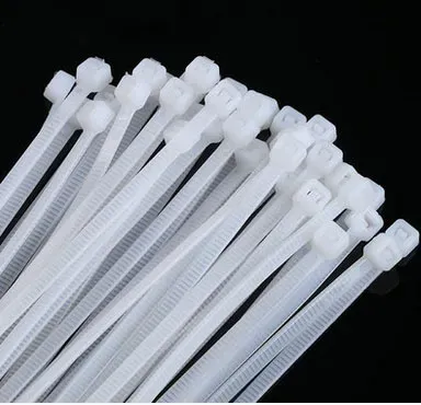 Nylon Cable Tie 2.5 x 100 mm (Pack of 100)