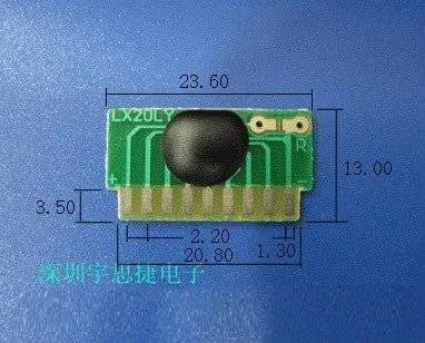 LX20LY 20-Second Voice Recorder COB Chip