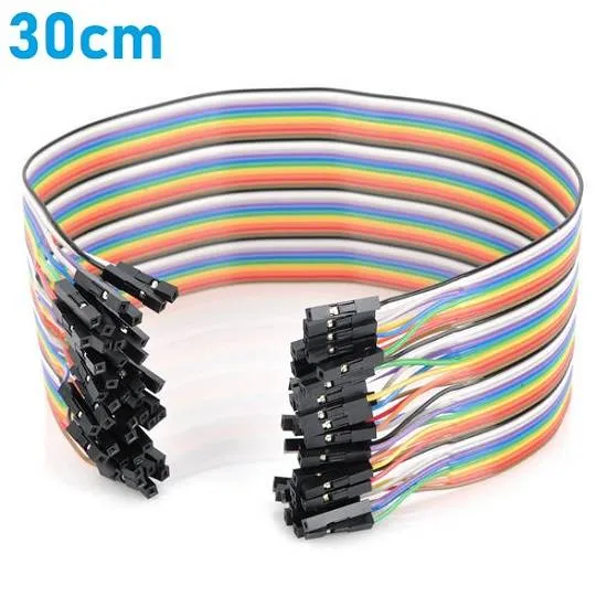 Female-Female Jumper Wire 300 mm