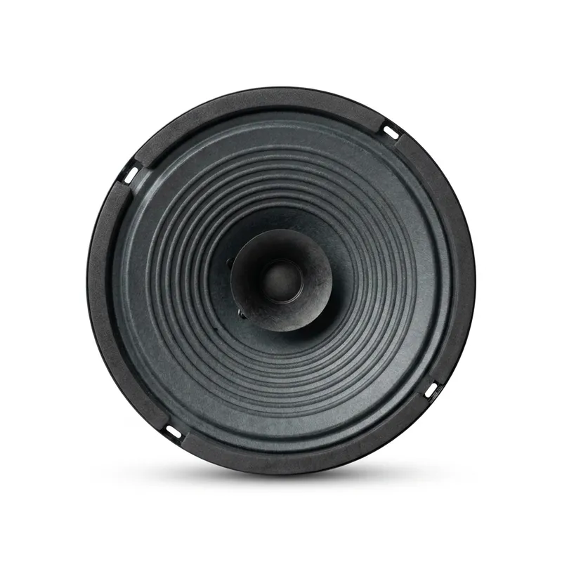 8-Inch Full-Range Speaker 8 Ohm 20W with Steel Basket