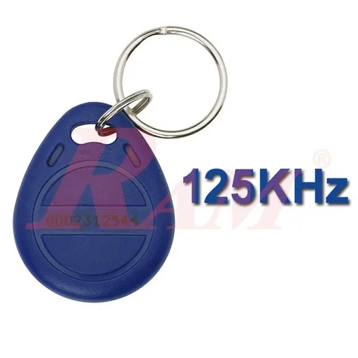 Access Control 125KHz Proximity Keychain RFID Tag