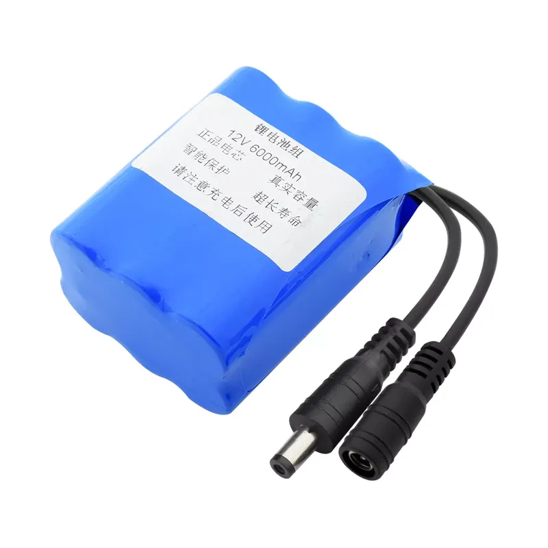 Rechargeable Li-ion/Li-Polymer Battery 12V 6000mAh